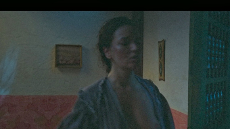 Maria Adelaida Puerta Nude as Amaranta Úrsula. Breasts, breast, left breast. 1020878