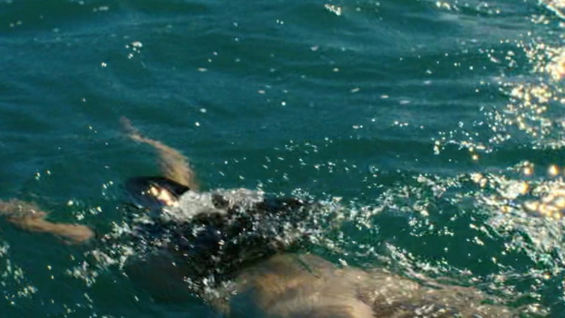 Margaret Qualley Nude as Maya. Butt, ocean, swimming. 1022192