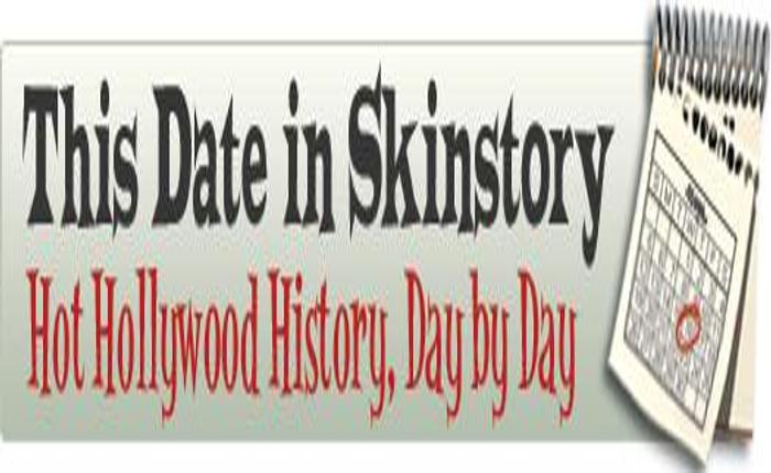 Mr. Skin's Skintastic Video Guide Published -- September 1, 2008