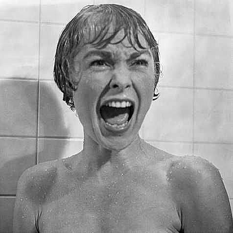 Mr. Skin's Top 31 Naked Scream Queens: Janet Leigh