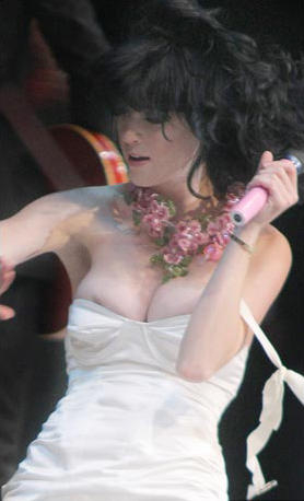 Mr Skin's Celebrity Headline Nudes -- November 11, 2008