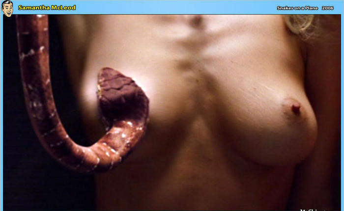 Animal Magnetism: Take a Walk on the Wild Side with Mr. Skin's Playlists [PICS]