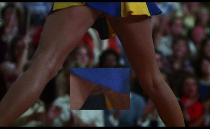 Mr. Skin's Blu-Ray Discoveries: The Hollywood Knights [PIC]