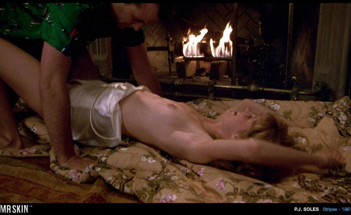 Mr. Skin's Blu-Ray Discoveries: Stripes [PIC]