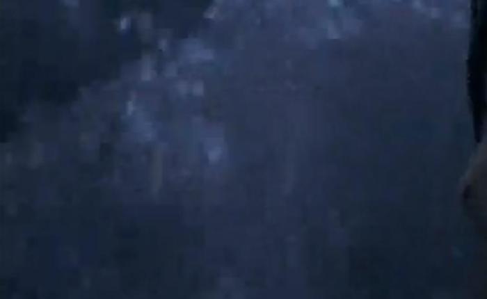 The Great Mr. Skin Screen Cap Challenge 12.16.2016 [UPDATE]