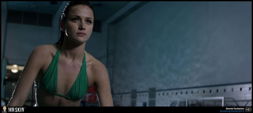 Is Shantel VanSanten Hinting About A Nude Scene?