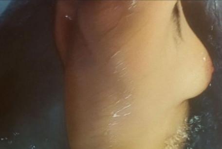 Let's Play Guess That Rack!