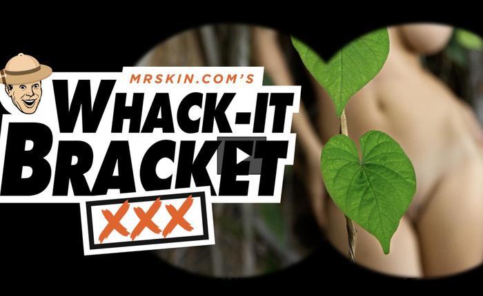 Vote Now for the Skinsational Third Round of the Whack-it Bracket