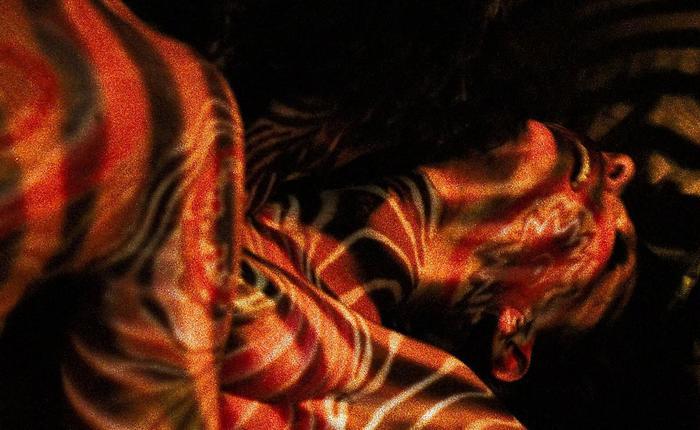 Hippie Hotties: The Trip