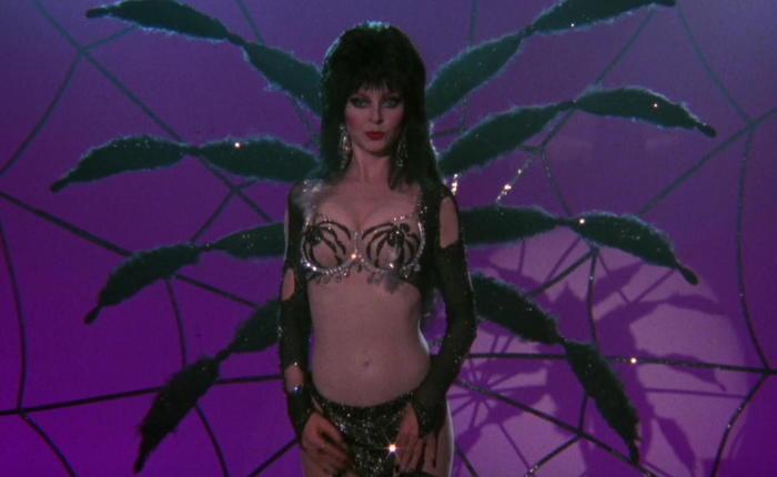 Elvira Mistress of the Dark Comes Out as Gay