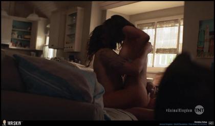 TV Nudity Report: All the Queen's Men, Animal Kingdom, and More 8.1.22