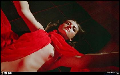Staff Picks: Foreign Vampires