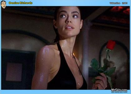 A Denise Richards Docuseries is in the Works