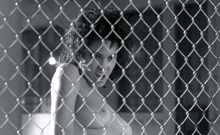 Staff Picks: Real Gay Biopics