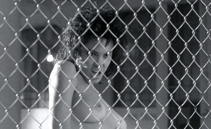 Staff Picks: Real Gay Biopics