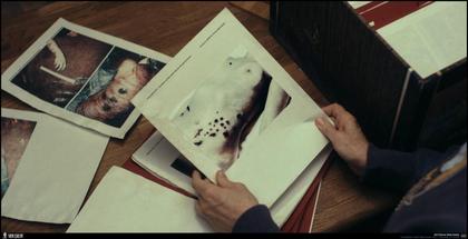 SKINcoming on DVD and Blu-ray: True Detective S4, The World of Kanako, and More 7.9.24