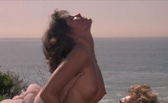 The Golden Age of Nudity: Hardbodies