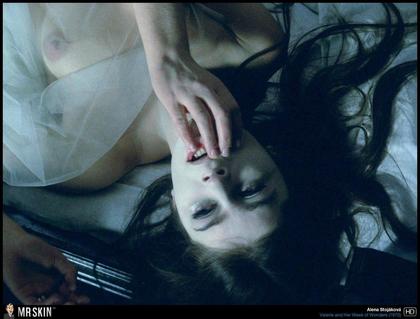 Staff Picks: Eastern European Cinema