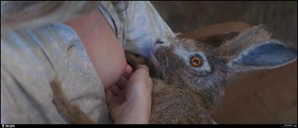 SKINcoming on DVD and Blu-ray: Black Eyed Susan, Nine Perfect Strangers S1, and More 1.28.25