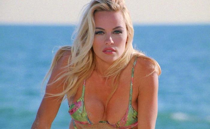 10 Sexy Bikini Babes from the 90s