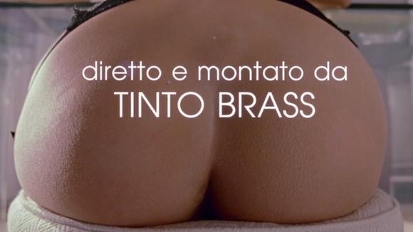 Tinto Brass Delivers Retro Hairy Bushes, Halle Berry’s Boobs! Halle Berry Vittoria Schisano 4783