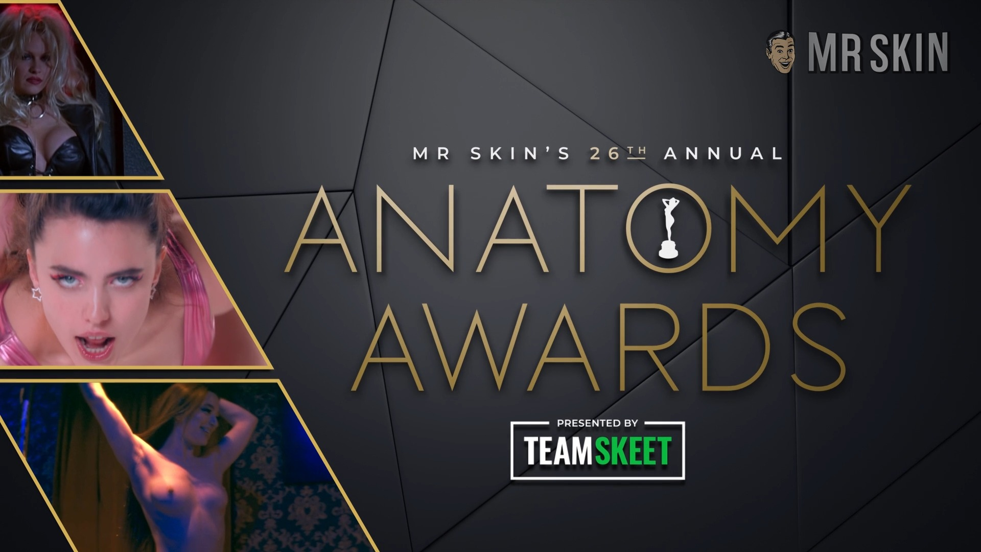 Mr. Skin's 26th Annual Anatomy Awards Pamela Anderson Cate Blanchett Leila George Nava Mau 4903