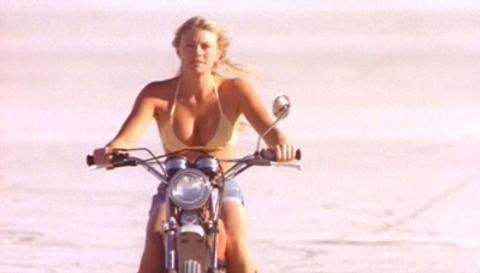 Peta Wilson: Naked, Sexy and Lesbian Actress Specific Peta Peta Gia Wilson 472