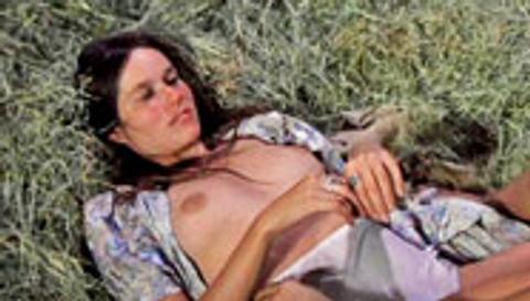 Barbara Hershey: Her Best Nude Scenes Actress Specific Barbara Barbara Hershey 622