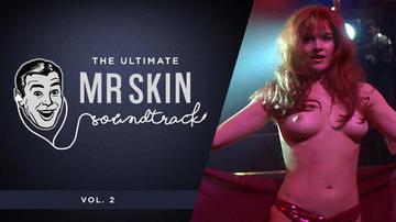The Ultimate Mr. Skin Soundtrack VOL. 2 Weird And Wild Best Song Best Songs 1725