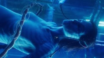 The Sexy Babes of Avatar Title Specific Avatar Avatar The Last Airbender 2197