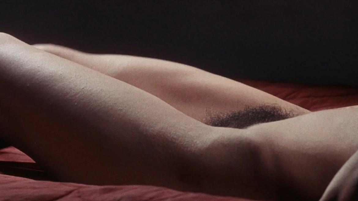 Gisèle Grimm in Tropic of Cancer (1970) Breasts Body Double Bush Butt Full Nudity Body Double Breasts 223165