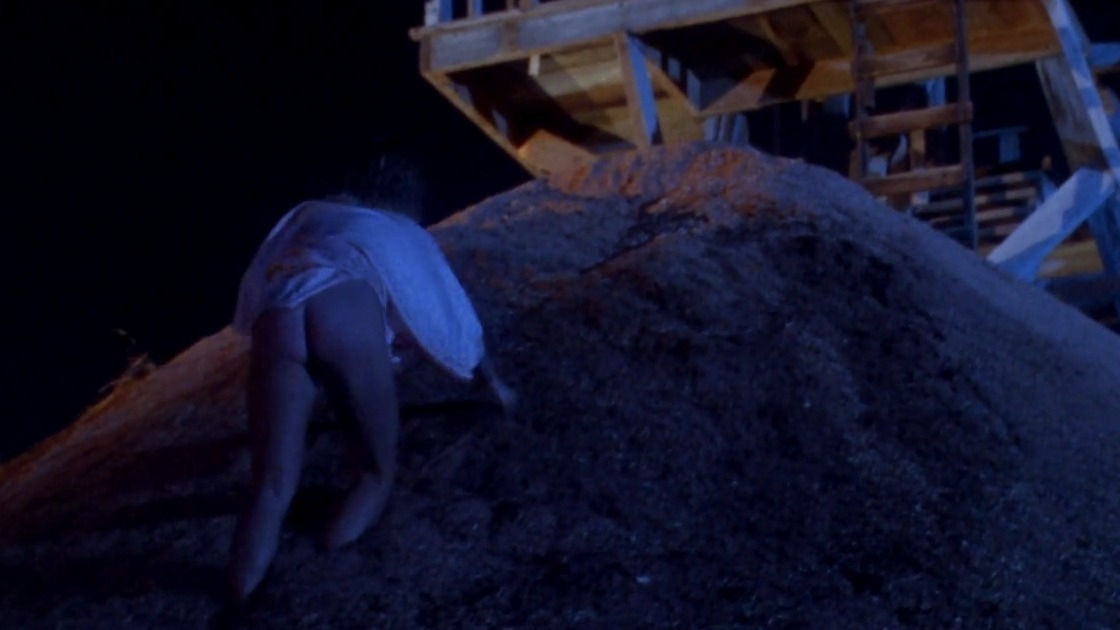 Virginia Madsen Nude in The Hot Spot. Butt, Body Double, breasts, bush. 234580