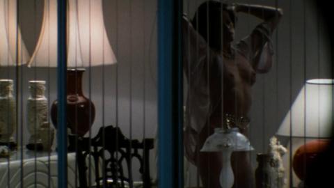 Melanie Griffith Nude in Body Double. Breasts, butt, sexy. 174118