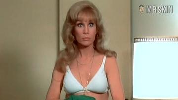 Barbara Eden in Harper Valley P.T.A. (1978) Underwear Underwear 174888
