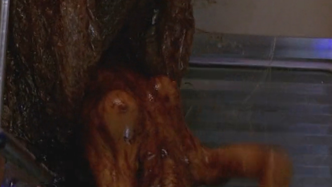 Sil from Species Naked. Breasts, Bush, butt, underwear. 173825