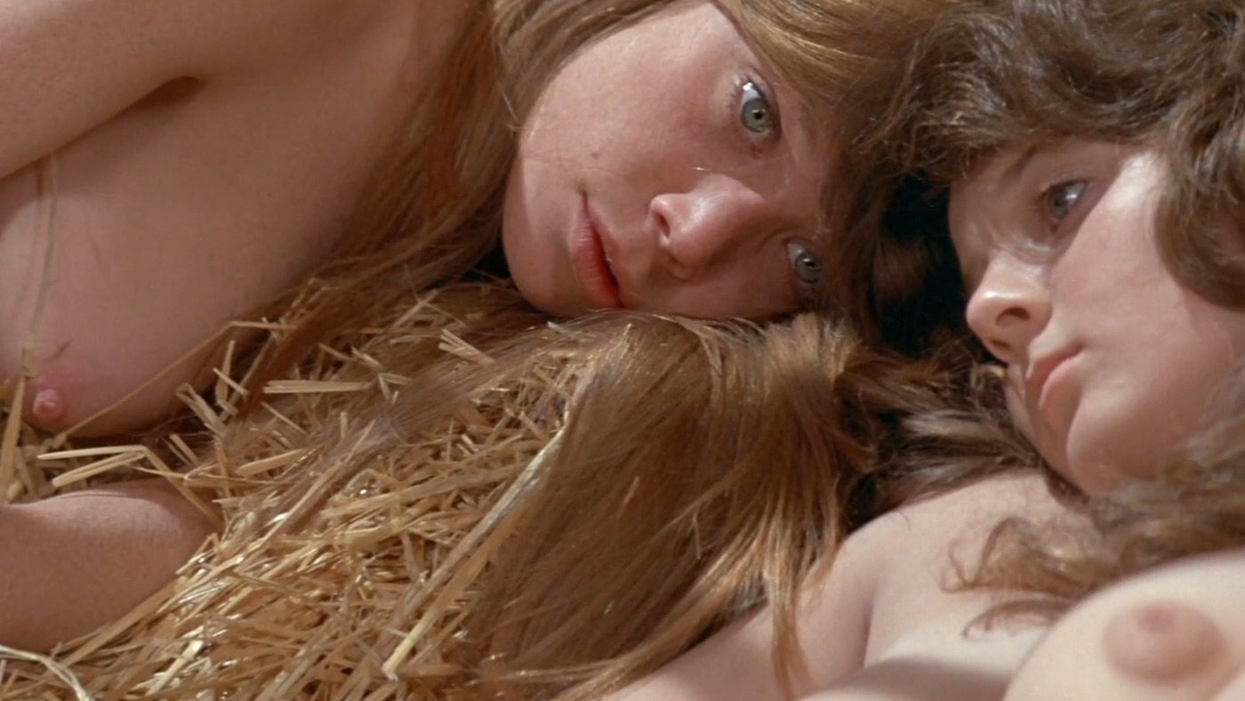 Poppy from Prime Cut Naked. Right Breast, Left Breast, breasts, bush. 196847