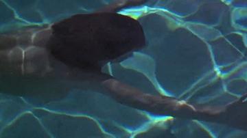 Susan Sarandon in Twilight (1998) Body Double Breasts Butt Body Double Breasts 302499