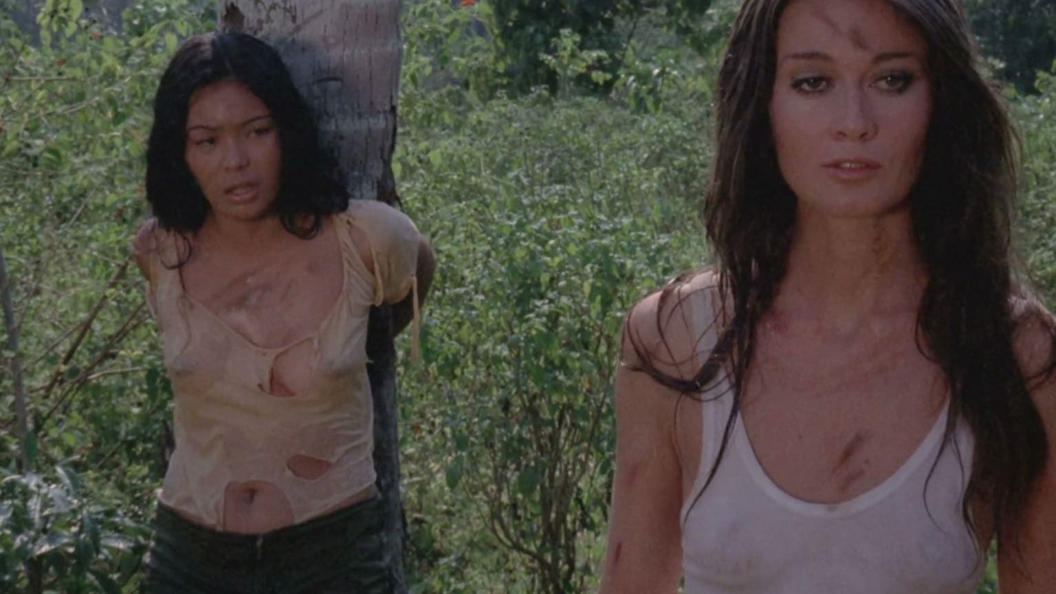 Sexiest Scenes of Lin Tsiang from The Big Bird Cage. Sexy, breasts. 186011
