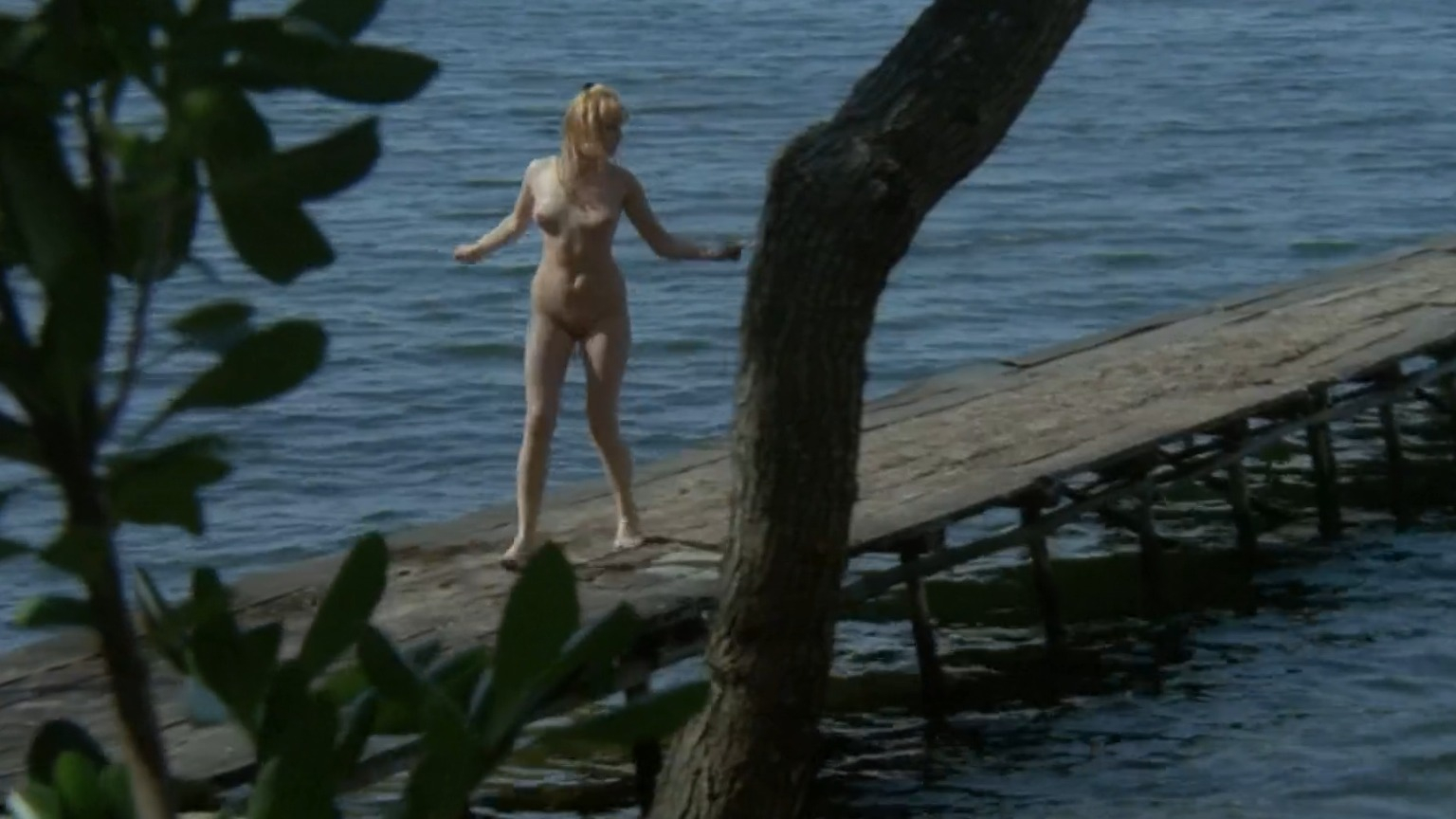 Brigitte Skay Nude in A Bay of Blood. Breasts, Butt, Bush, Full Frontal, Full Nudity, underwear. 187810