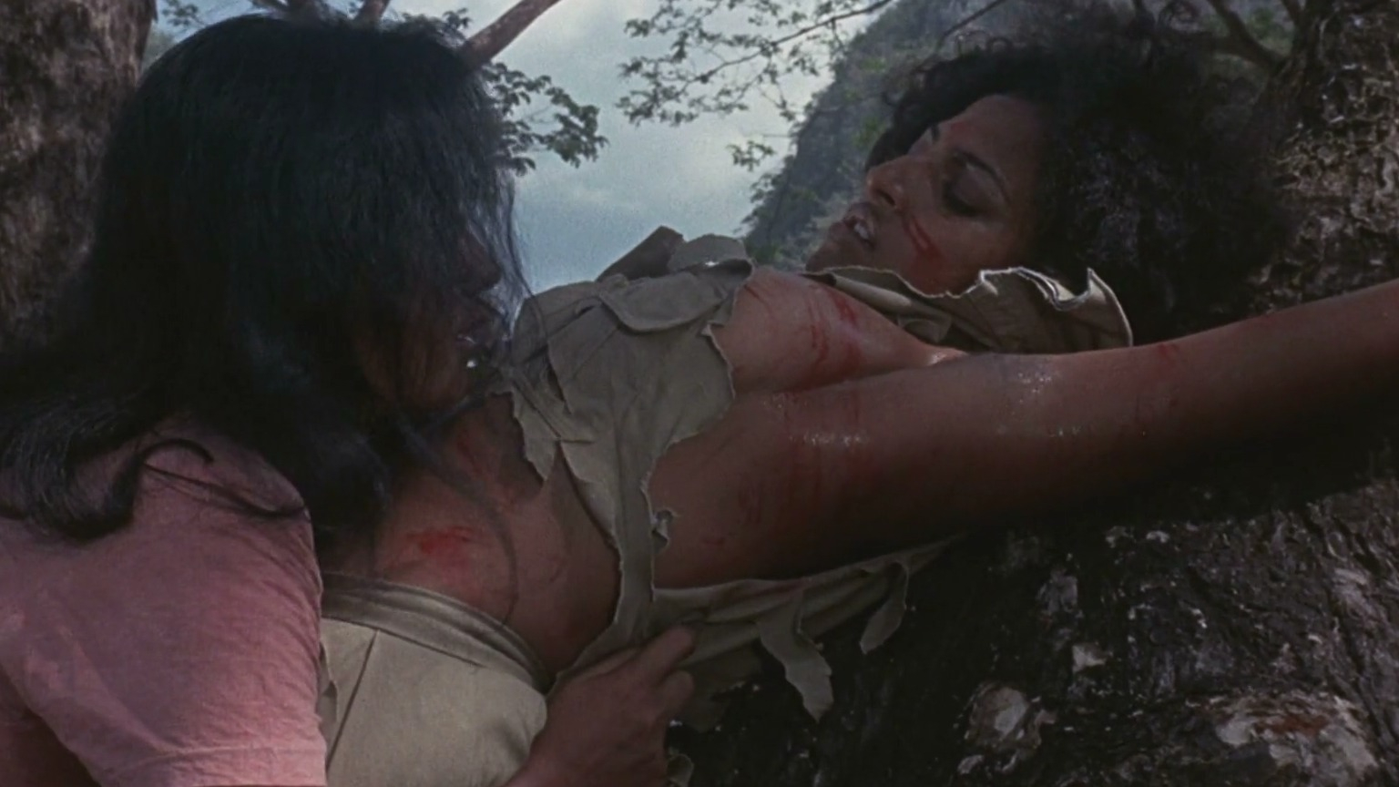 Women in Cages's Sexiest Scenes with Pam Grier. Sexy, breasts, butt. 193440