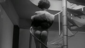 Mariko Ogawa in Branded to Kill (1967) Breasts Butt Breasts Bush 227795