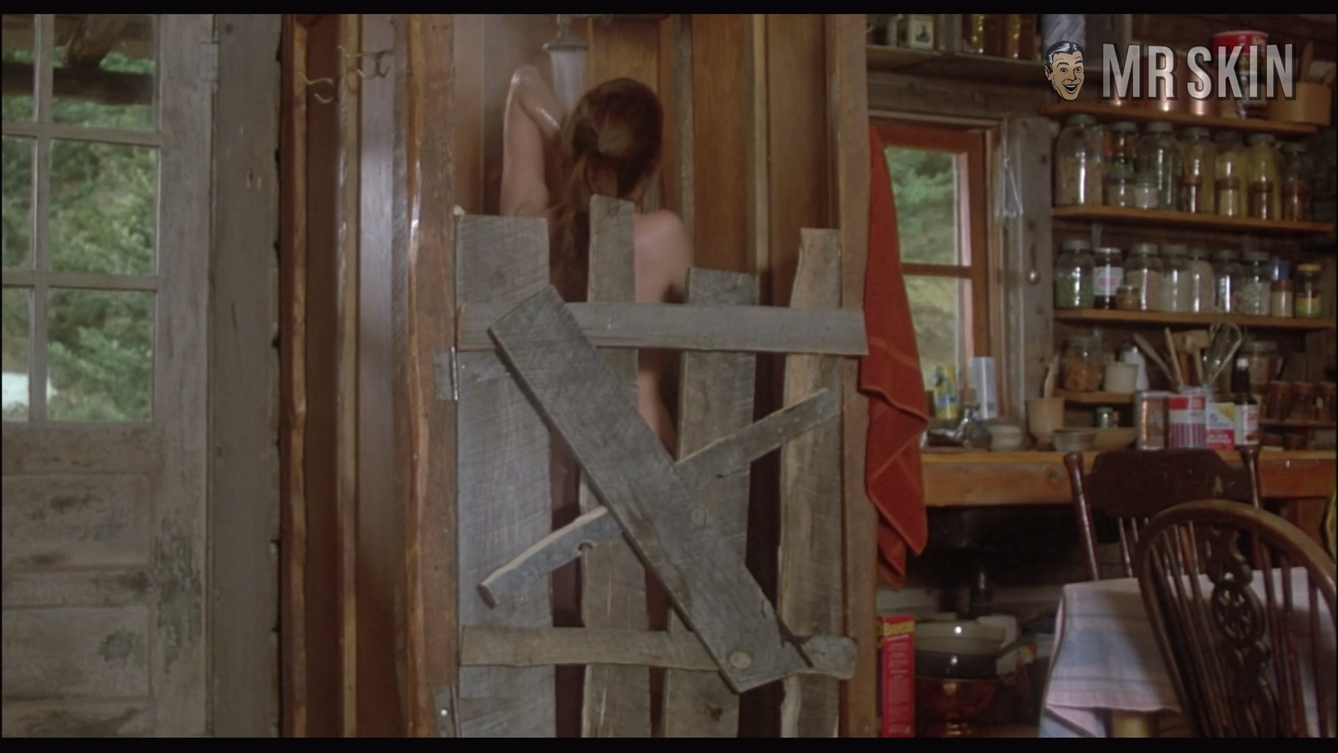 Blair Brown in Continental Divide (1981) Butt Sexy Breasts Butt 321422