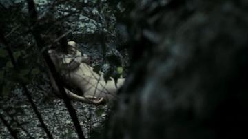 Barbara Goenaga in Timecrimes (2007) Full Frontal Breasts Bush Sexy Underwear Breasts Bush 216158