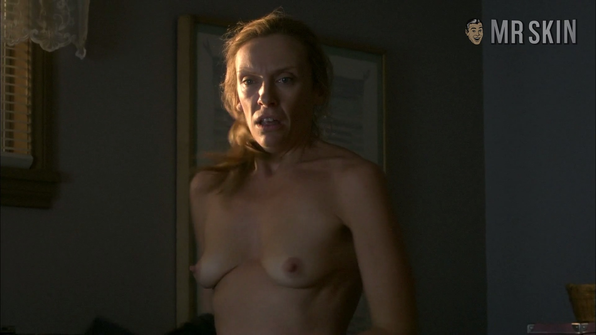 Toni Collette Naked in United States of Tara. Breasts, bikini, butt. 220771