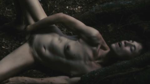 Charlotte Gainsbourg Naked in Antichrist. Full Nudity, Real Sex, breasts. 217993