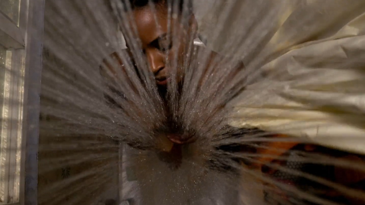 Shanola Hampton Nude in Shameless. Breasts, bikini, bush. 254122