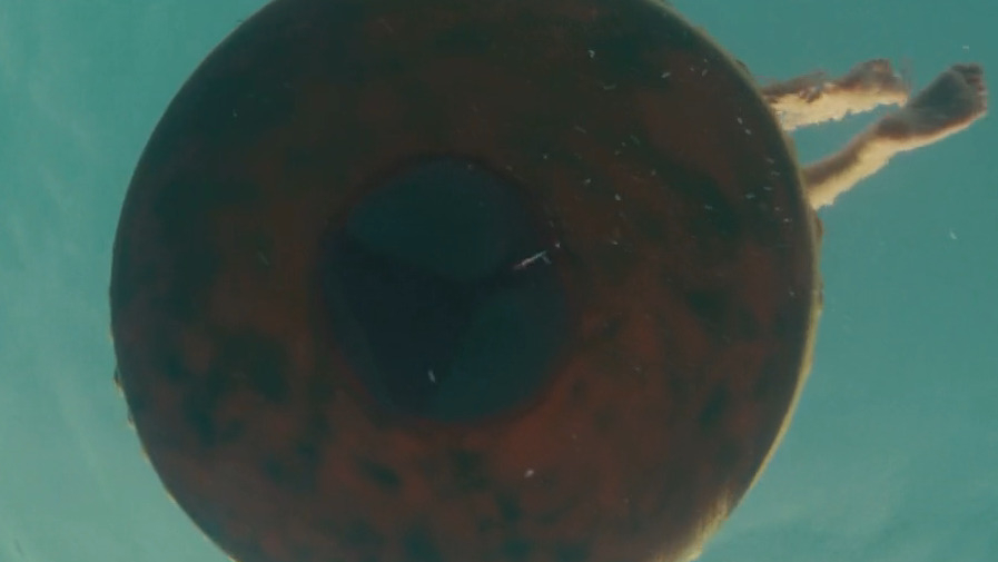 Bonnie Morgan in Piranha 3D (2010) Bikini Bikini 222310