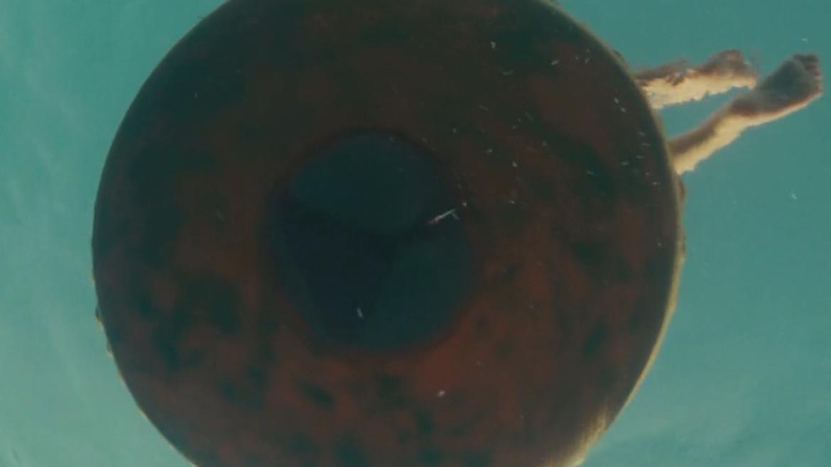 Bonnie Morgan in Piranha 3D (2010) Bikini Bikini 222310