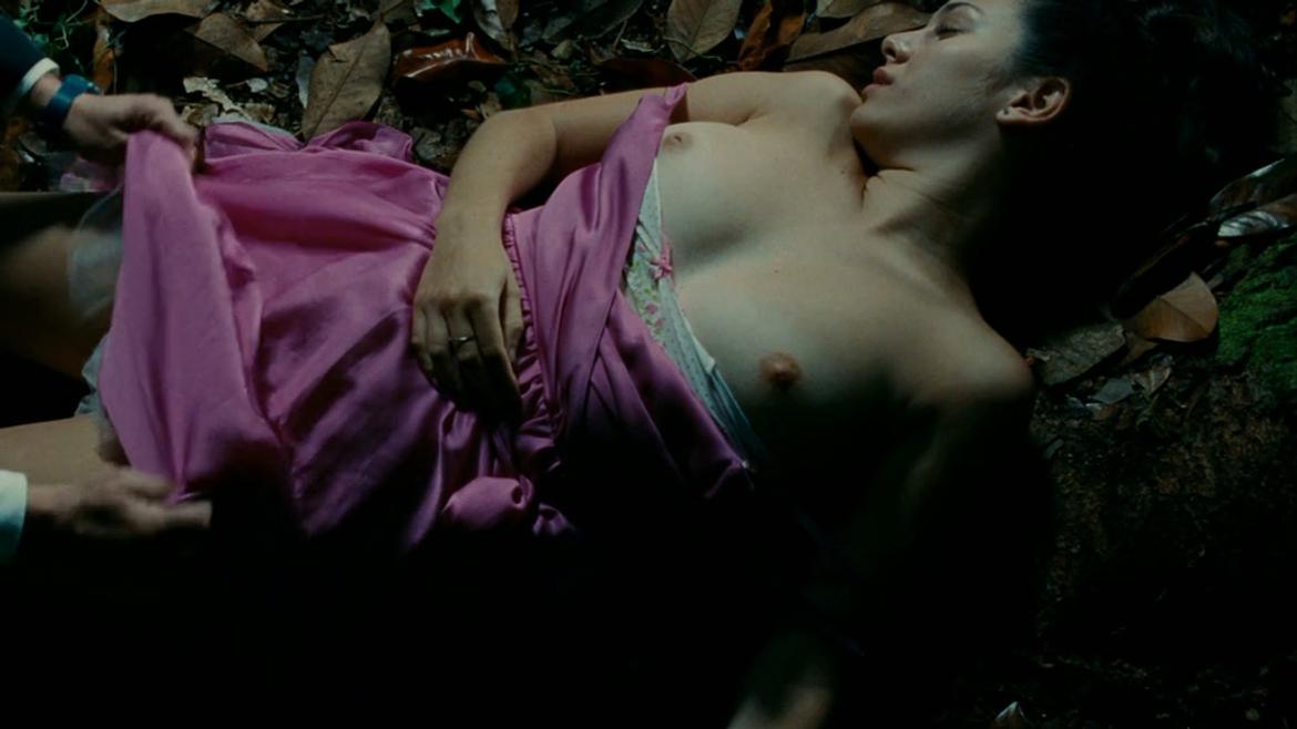 Blanca Suárez in The Skin I Live In (2011) Breasts Breasts 226369