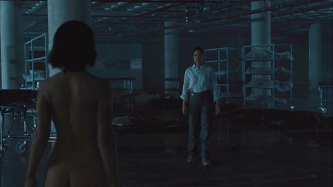 Charlotte Hale from Westworld Naked. Breasts, Butt, bikini, underwear. 268997